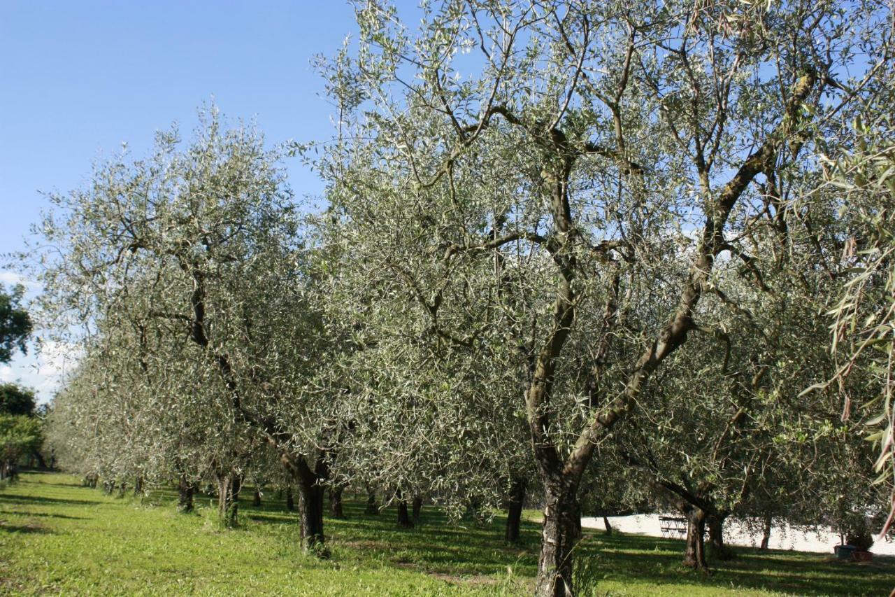 Antico Sobborgo Lägenhet Vitorchiano Exteriör bild